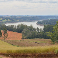 Luis Alberto Fernández Freddo