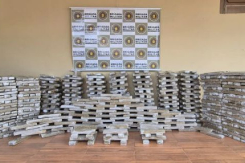 Força Tática apreende mais de 550 quilos de maconha em Alecrim