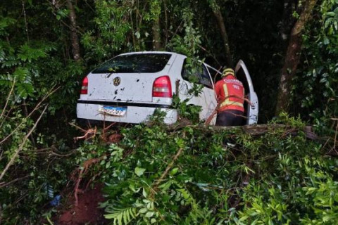 Veículo é encontrado abandonado após sair da pista na RS-342, em Horizontina