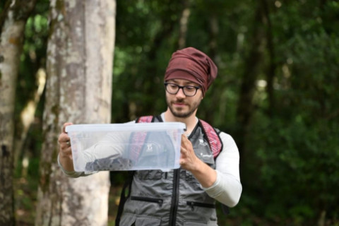 Aumento na presença de serpentes em Crissiumal e região reforça importância de orientação e cuidado