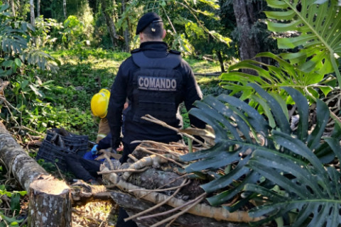 Homem morre em acidente de trabalho enquanto podava árvores em El Soberbio