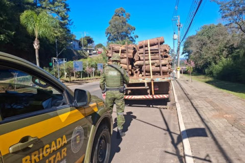 Apreensão de carga de lenha nativa em Marau