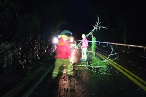 Bombeiros desobstruem BR-470 após queda de árvores provocada por fortes ventos em Bento Gonçalves